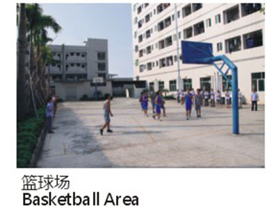 Basketball court1